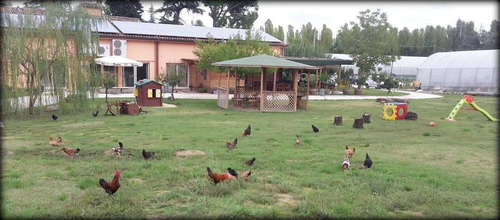 Agriturismo Perugini Panzió Cesena Kültér fotó
